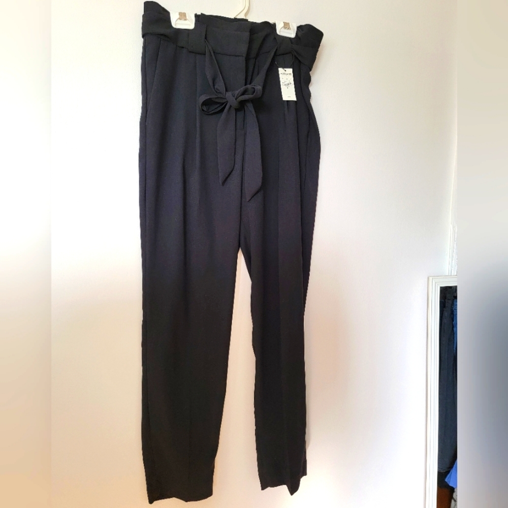 Express Dress Pant